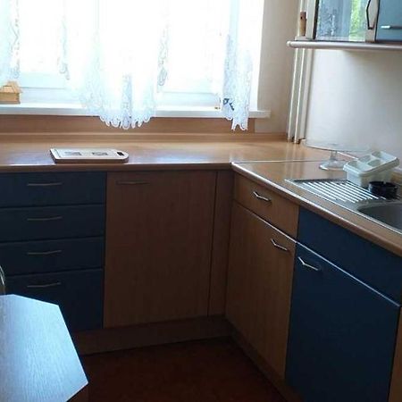 コウォブジェクApartament W Centrum Miastaアパートメント エクステリア 写真